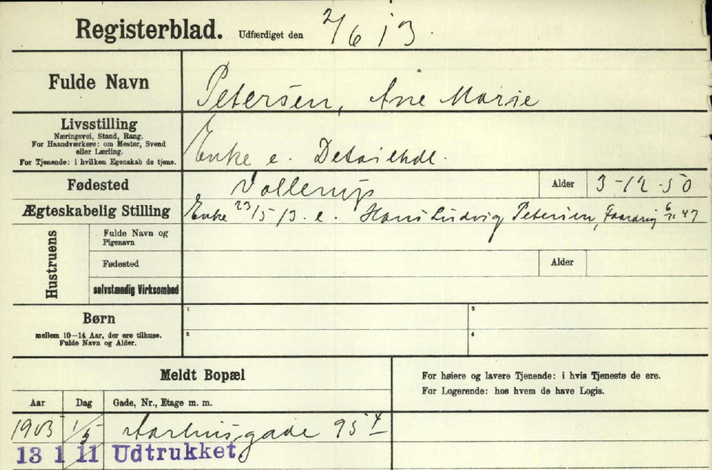 Politiets registre, Ane Marie Petersen, f. Hansen